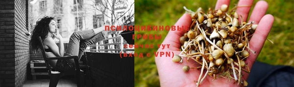 синтетический гашиш Михайловка
