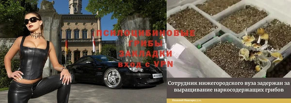 трава Бородино