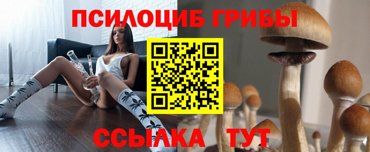 Галлюциногенные грибы MAGIC MUSHROOMS  Вход с VPN  Ивантеевка 